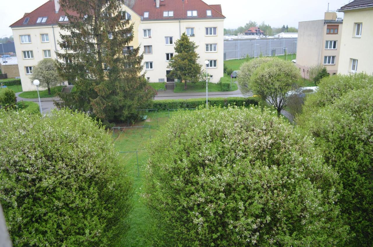 Room In Třeboň Exterior foto